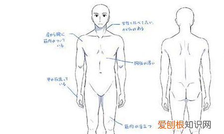 动漫男怎么画，动漫男孩是怎么画的