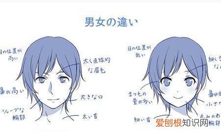 动漫男怎么画，动漫男孩是怎么画的