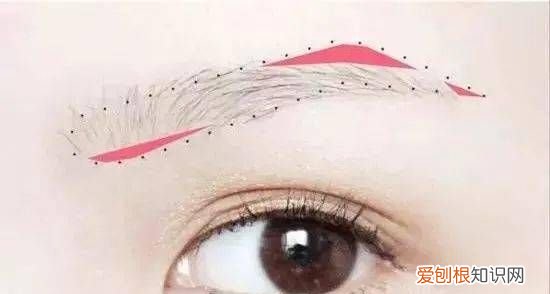 标准眉怎么画初学者,好看的标准眉毛到底应该怎么画