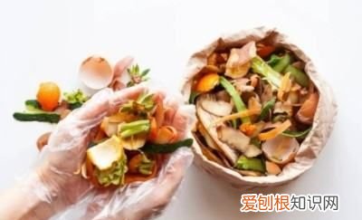 厨房垃圾都有什么东西,厨余垃圾有哪些东西图片