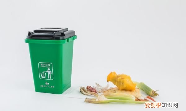 厨房垃圾都有什么东西，厨余垃圾有哪些东西图片
