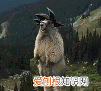 iphone锁屏密码被篡改