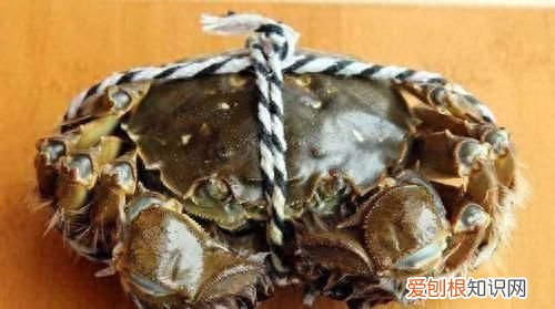 吃不完的螃蟹，放冰箱就错了，教你一招，螃蟹放30天照样新鲜