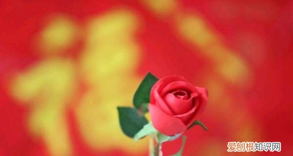 女生怎么追男生,一个女孩子怎么去追一个喜欢的男孩子