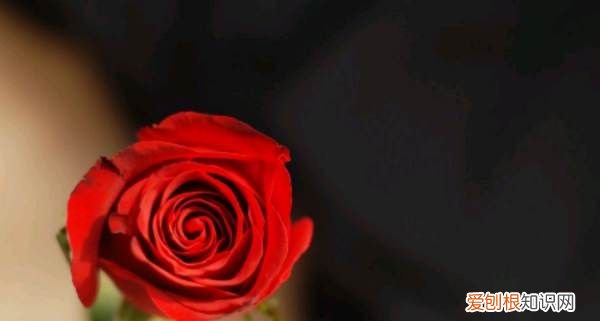 女生怎么追男生,一个女孩子怎么去追一个喜欢的男孩子