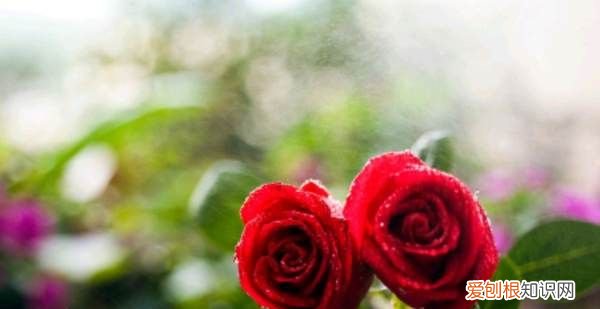 女生怎么追男生,一个女孩子怎么去追一个喜欢的男孩子