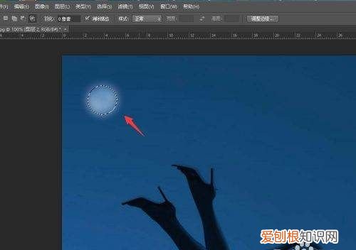 电脑上月亮键,月亮滤镜怎么用