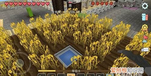 奶块怎么建村庄,奶块建村子可以在天上建