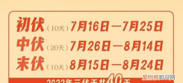 什么时候数伏开始,今年入伏是哪天开始