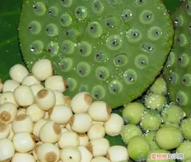 粮食储存方式分为哪几种