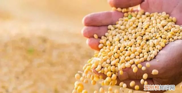 粮食储存方式分为哪几种