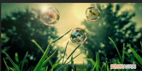 photoshop6怎么锐化，如何用PS调整锐度与清晰度