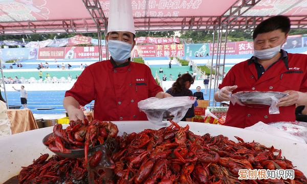 龙虾怎么保存起来，龙虾尾怎么保存才新鲜