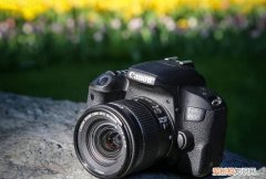 佳能7d有hdr，索尼a55和佳能7d比那个性能更好