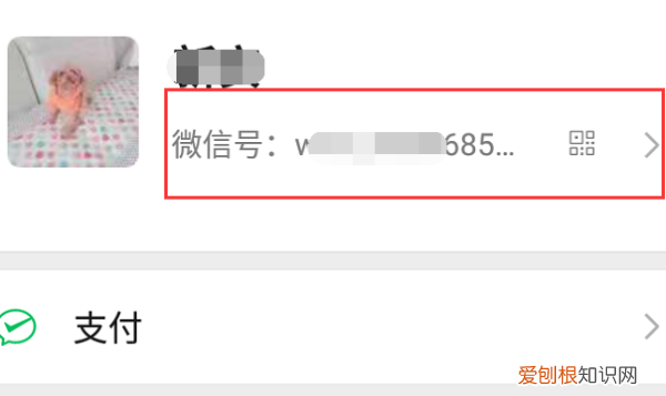 微信怎么拍一拍对方身体部位