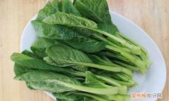 青菜放几天黄了还能吃