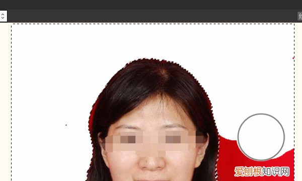 acdsee如何设置颜色