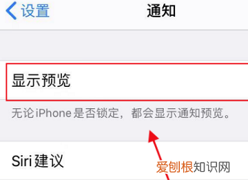苹果手机信息怎么设置不显示内容