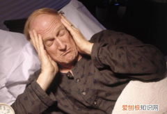 网名geek是什么意思，gek是什么意思中文翻译