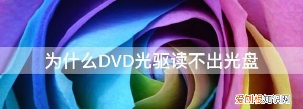 DvD怎么读,dvd不读碟什么原因