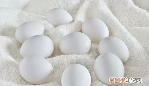 家里有臭鸡蛋味怎么办，怎么消除房间里的臭鸡蛋气味