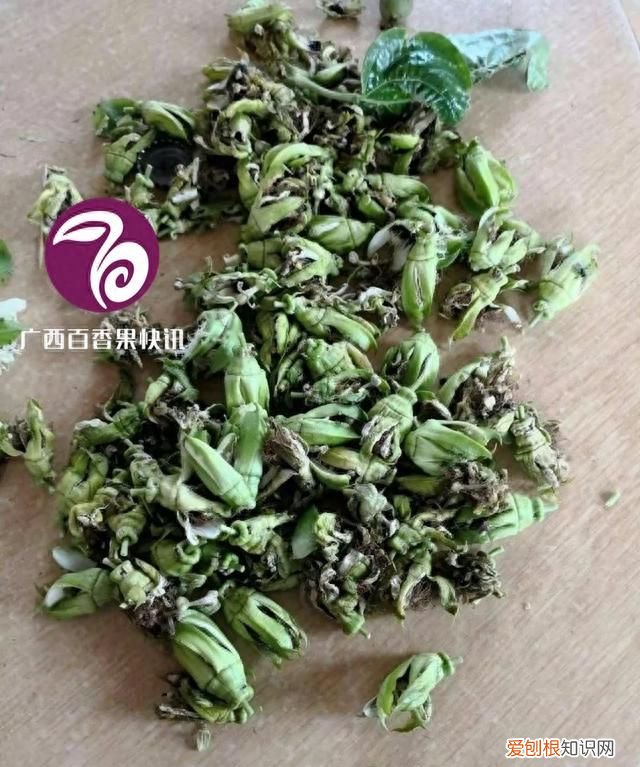 种百香果用什么方法才不会长虫呀