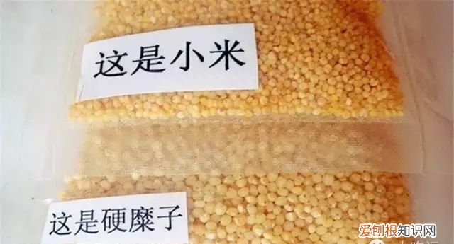几种茶汤的成分比较 茶汤的原料是什么做的