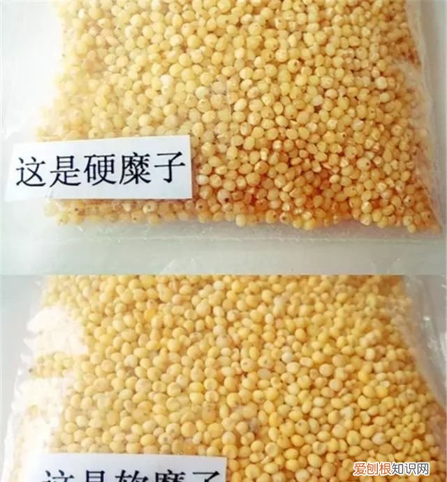 几种茶汤的成分比较 茶汤的原料是什么做的