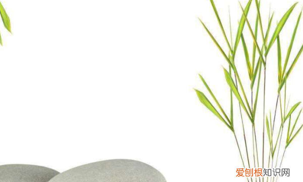 徐徐的微风是什么意思，微风徐徐下一句是什么意思