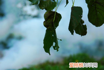 徐徐的微风是什么意思，微风徐徐下一句是什么意思