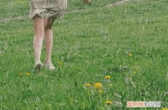 2023谷雨前后雨水多吗 谷雨还会倒春寒吗