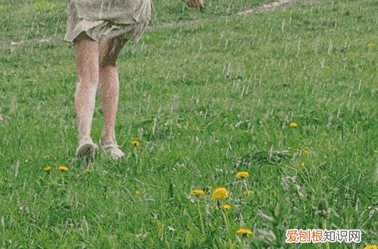 2023谷雨前后雨水多吗 谷雨还会倒春寒吗