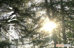 2023立夏文案短句干净治愈 立夏治愈文案朋友圈说说简短一句