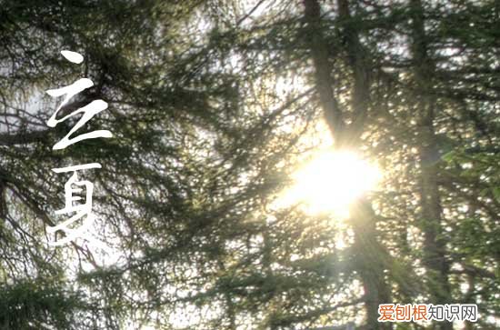2023立夏文案短句干净治愈 立夏治愈文案朋友圈说说简短一句
