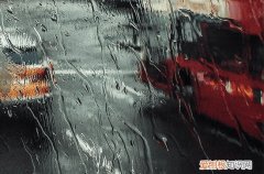 谷雨节气的特点简介 谷雨吃香椿要注意什么