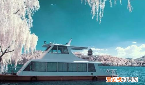 大光圈镜头有什么用，大光圈有什么作用显微镜