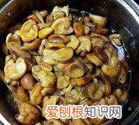 黄皮怎么吃，黄皮干怎么做好吃