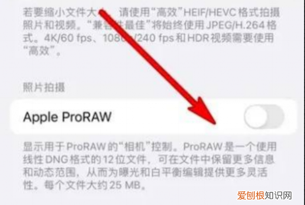 raw用什么打开，手机raw格式怎么打开