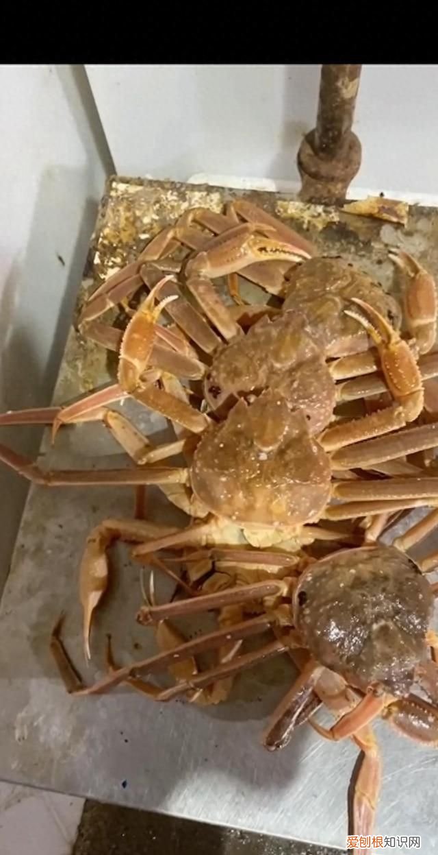 海鲜你不知道的秘密