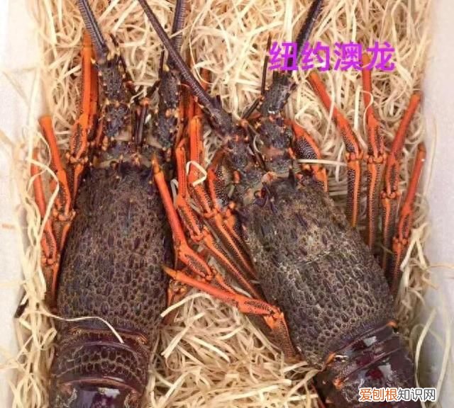 海鲜你不知道的秘密