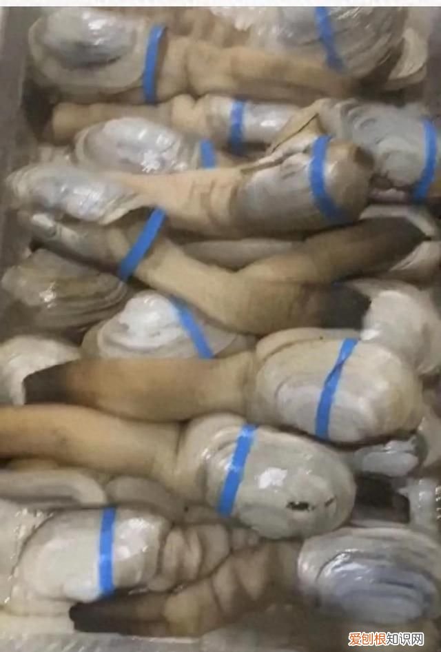 海鲜你不知道的秘密