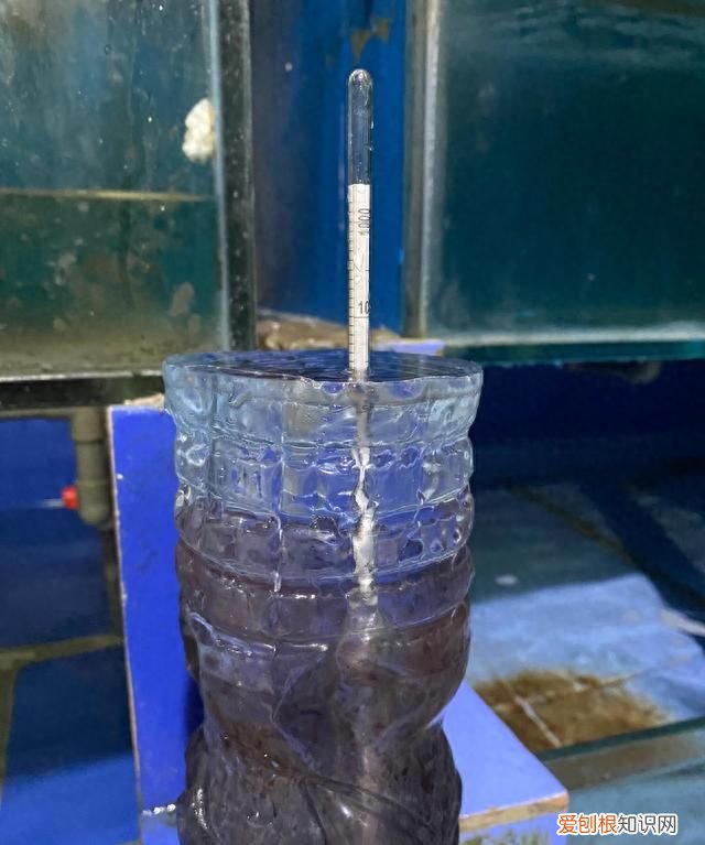 海鲜你不知道的秘密