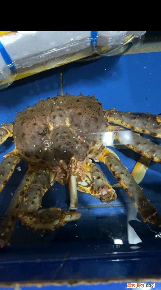 海鲜你不知道的秘密