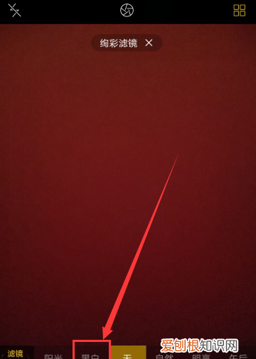 相机如何改成黑白，oppo手机里的相机怎么调成黑白模式