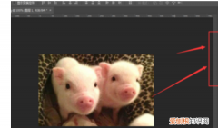 ps怎么加锐度，ps如何提高清晰度和分辨率