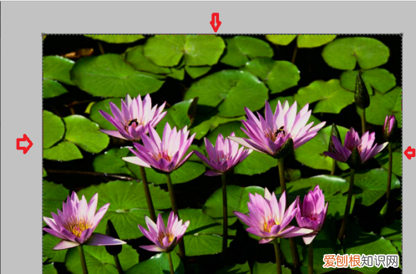 ps怎么把照片调大，怎么用ps把照片做成宽幅