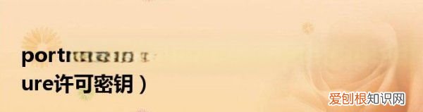 ps磨皮在哪，ps中portraiture磨皮滤镜怎么安装