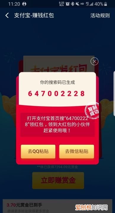 支付宝搜索码在哪里,怎么查看自己支付宝登录密码