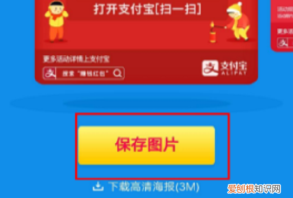 支付宝搜索码在哪里,怎么查看自己支付宝登录密码