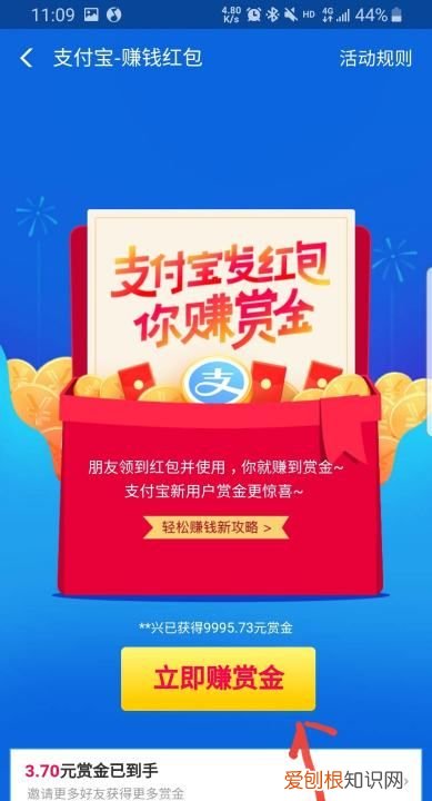 支付宝搜索码在哪里,怎么查看自己支付宝登录密码
